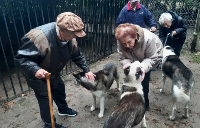 Grupa 4 uczestników głaszcze psy husky na zajęciach wycieczce do Traperskiej Zagrody