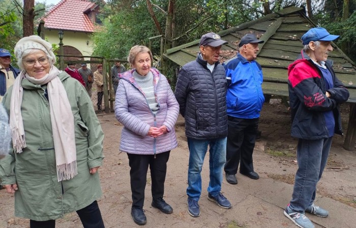 Karmienie koni marchewkami przez uczestników