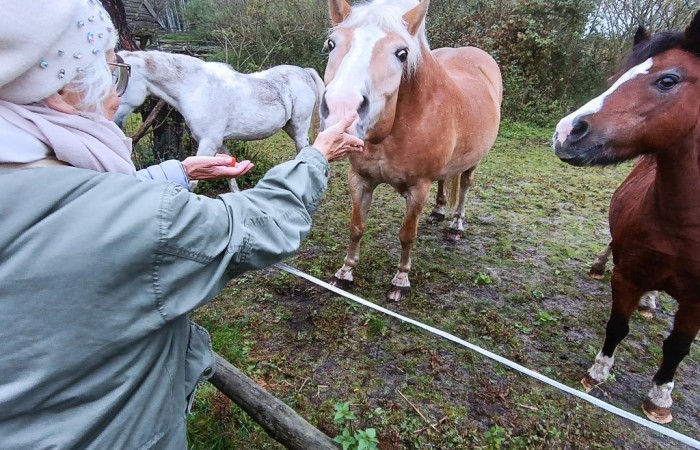 Uśmiechnięci uczestnicy ze swarzędzkich placówek: Centrum Aktywności Seniora, Dziennego Domu Pomocy, Dziennego Domu „Senior-WIGOR”, Środowiskowego Domu Samopomocy na zajęciach w ramach projektu Stowarzyszenia na Rzecz Aktywizacji Społeczności Lokalnej  „Zwierzaki na receptę” dla osób z niepełnosprawnościami