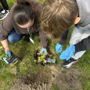 Opiekunka i dziecko sadzą krzew owocowy w wykopanym dołku podczas warsztatów ogrodniczych